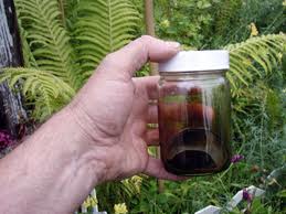 Myrrh Oil